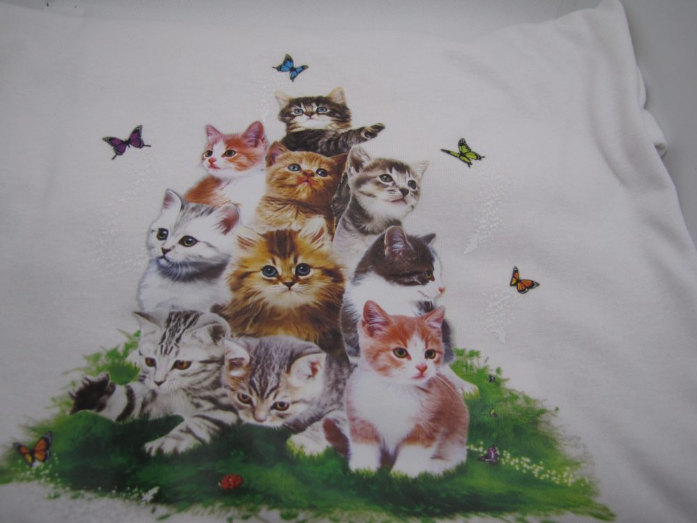 Multiple Kitties