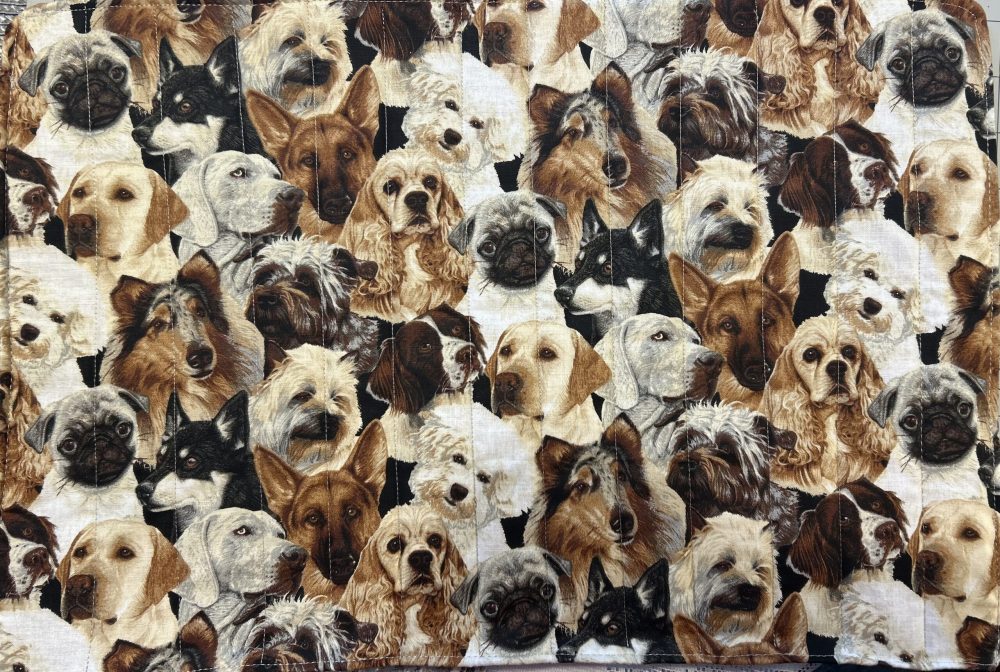 Multi Dogs Drying Mat